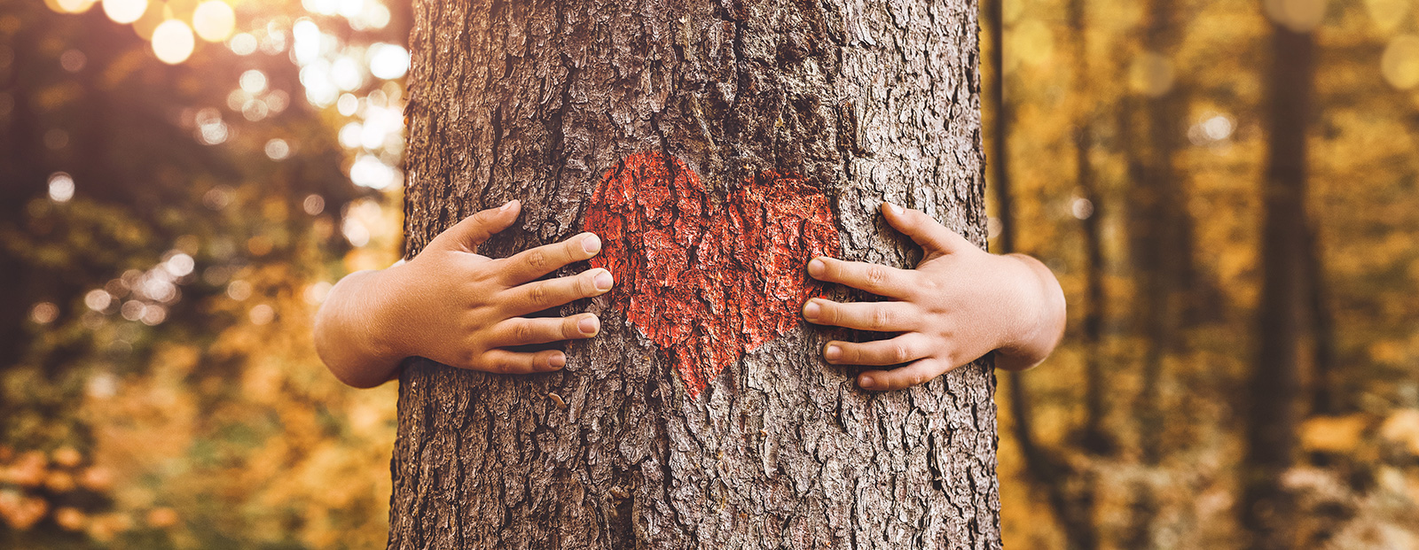 Heizungsmodernisierung