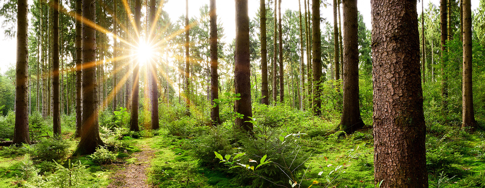 Dezentrale Wohnraumlüftung